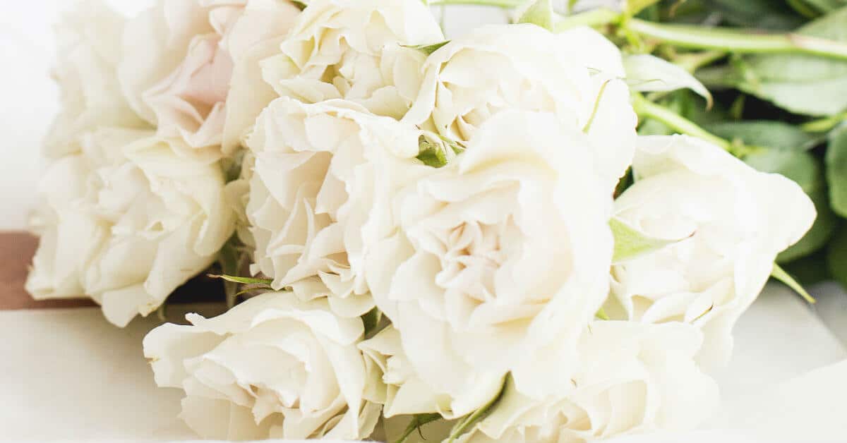 Image closeup bouquet of pale pink roses. Image from haute stock photography.