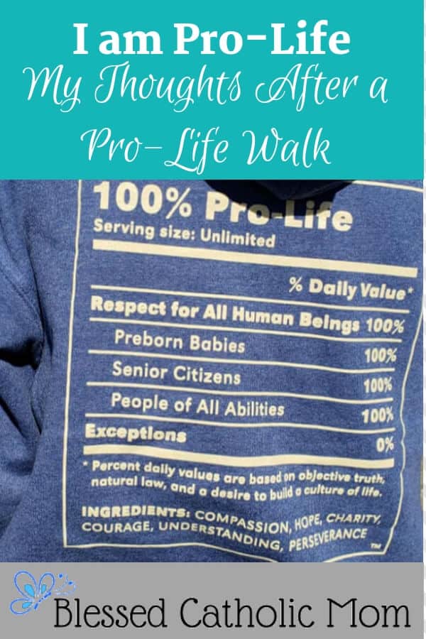 To be pro-life means to be for life, to value and protect life from conception to natural death. All life is precious. How can I live a more pro-life life? Image of the back of a hoodie sweatshirt that says 100% Pro-Life and lists preborn babies, senior citizens, and people of all abilities.