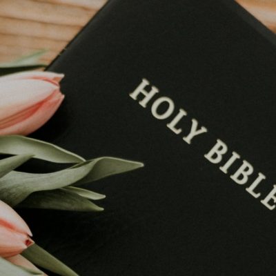 Image of pink tulips and the Holy Bible on a table