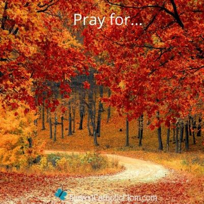 Image of a forest in autumn. The leaves on the trees are yellow and orange. A dirt path winds through the trees. the words pray for... are at the top of the image and the logo for Blessed Catholic Mom is at the bottom.