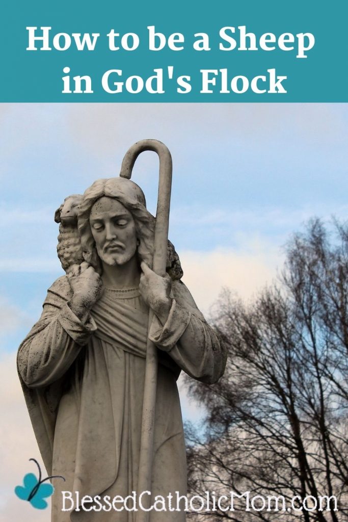 Image of a stone statue outside of Jesus as the Good Spepherd, holding His staff in one hand and holding a sheep around His shoulders. Words above the image read: How to be a Sheep in God's Flock. Logo for Blessed Catholic Mom is at the bottom.