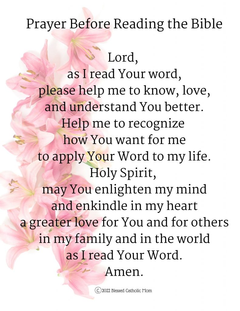 Image of a beautiful pink floral theme background jpg copy of Prayer Before Reading the Bible from Blessed Catholic Mom.