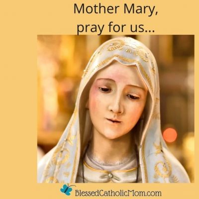 Image of a statue of the Blessed Virgin Mary with her eyes downcast. Above the image are the words: Mother Mary, pray for us... Below the image is the logo for Blessed Catholic Mom.