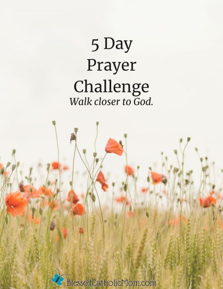 Image of a filed of orange flowers. The words 5 Day prayer Challenge Walk closer to God and the logo for Blessed Catholic Mom dot com are on the image.