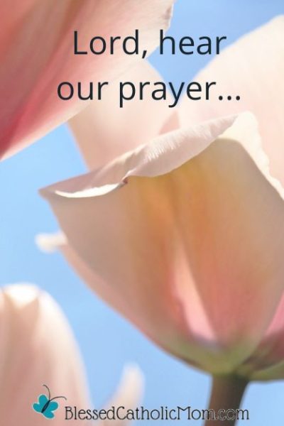 Image of pink flowers with the blue sky behind them. Text on the image reads Lord, hear our prayer... Logo for Blessed Catholic Mom is at the bottom of the image.