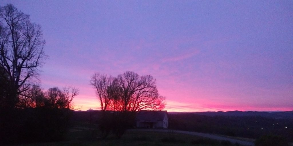 Image of a sunrise that is pink and blue with a view of trees on the left and a barn.