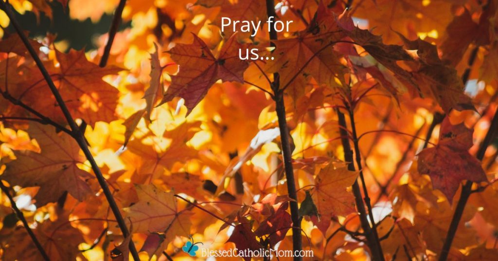 Image of trees with orange and brown leaves with the words Pray for us... at the top in white and the logo for blessed Catholic Mom at the bottom.