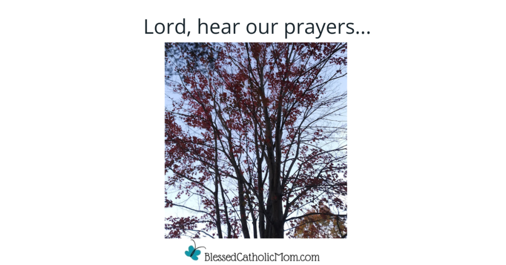 Image of a tree wth red leaves. Words Lord her our prayers... is at the top and the logo for Blessed Catholic Mom is at the bottom.