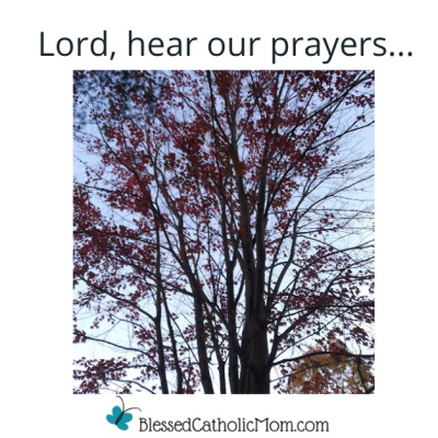 Image of a tree wth red leaves. Words Lord her our prayers... is at the top and the logo for Blessed Catholic Mom is at the bottom.