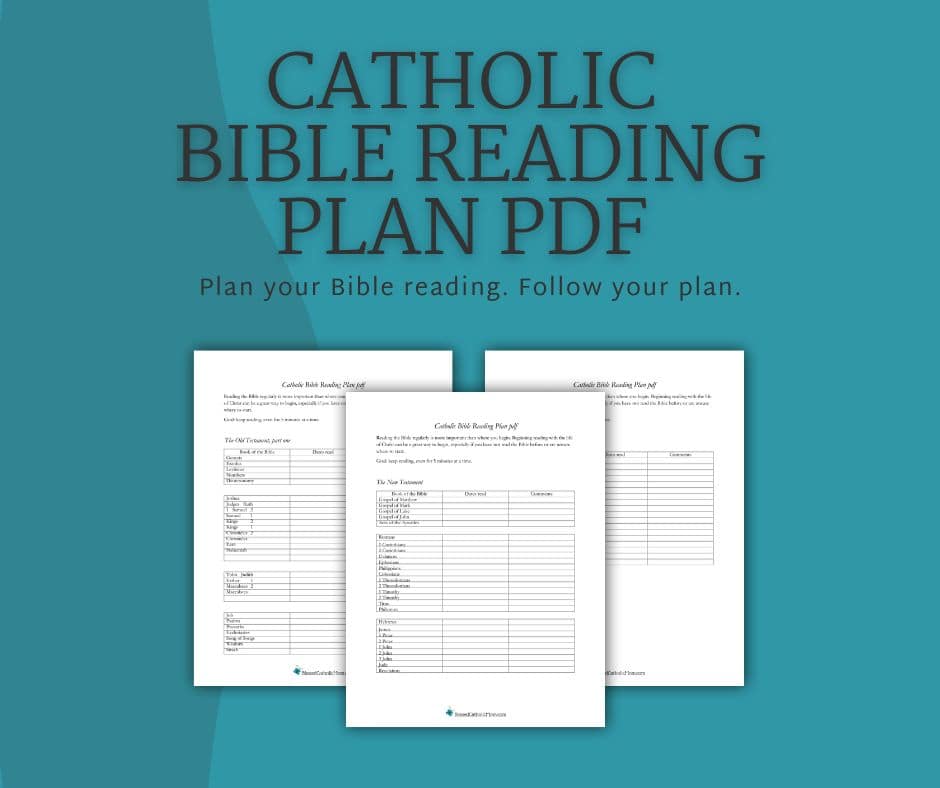Image of the Catholic Bible Reading Plan pdf mockup form Blessed Catholic mom.