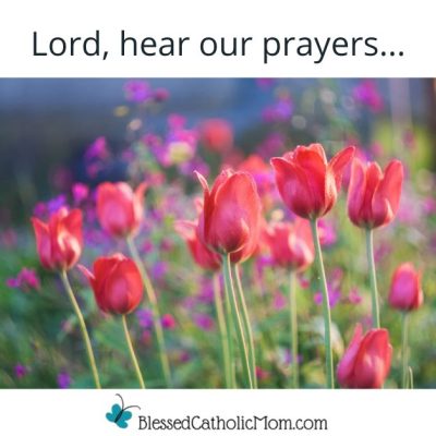 Image of a field of pink tulips on a sunny day. Lord, hear our prayers... is above the image and the logo for Blessed Catholic Mom is below it.