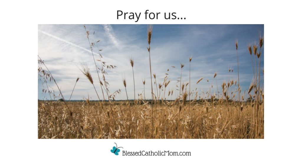 Image of a field of wheat wiht a blue almost cloudless sky above it. The words Pray for us... is above the image and the logo for Blessed Catholic Mom is below it.