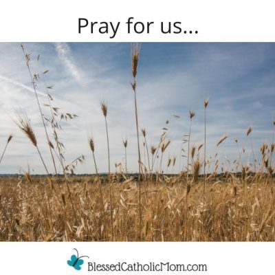 Image of a field of wheat wiht a blue almost cloudless sky above it. The words Pray for us... is above the image and the logo for Blessed Catholic Mom is below it.