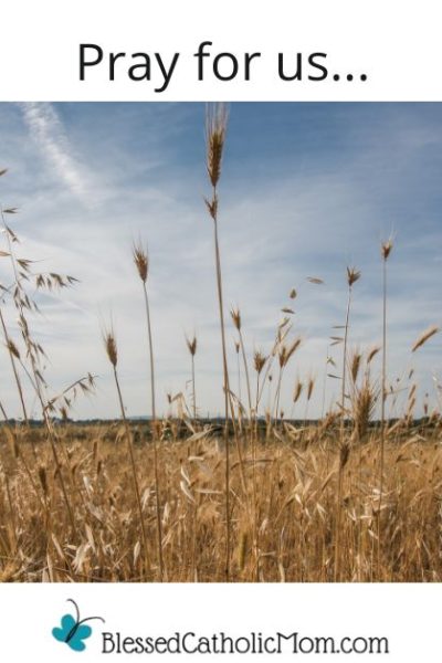 Image of a field of wheat wiht a blue almost cloudless sky above it. The words Pray for us... is above the image and the logo for Blessed Catholic Mom is below it.