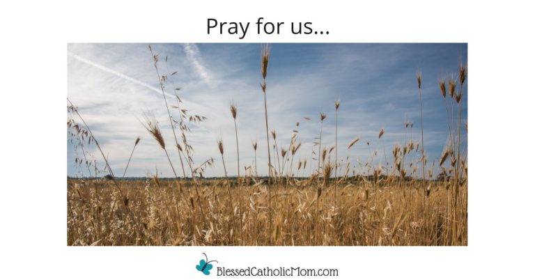 Prayer Intentions for June 2026 - Blessed Catholic Mom pray for others