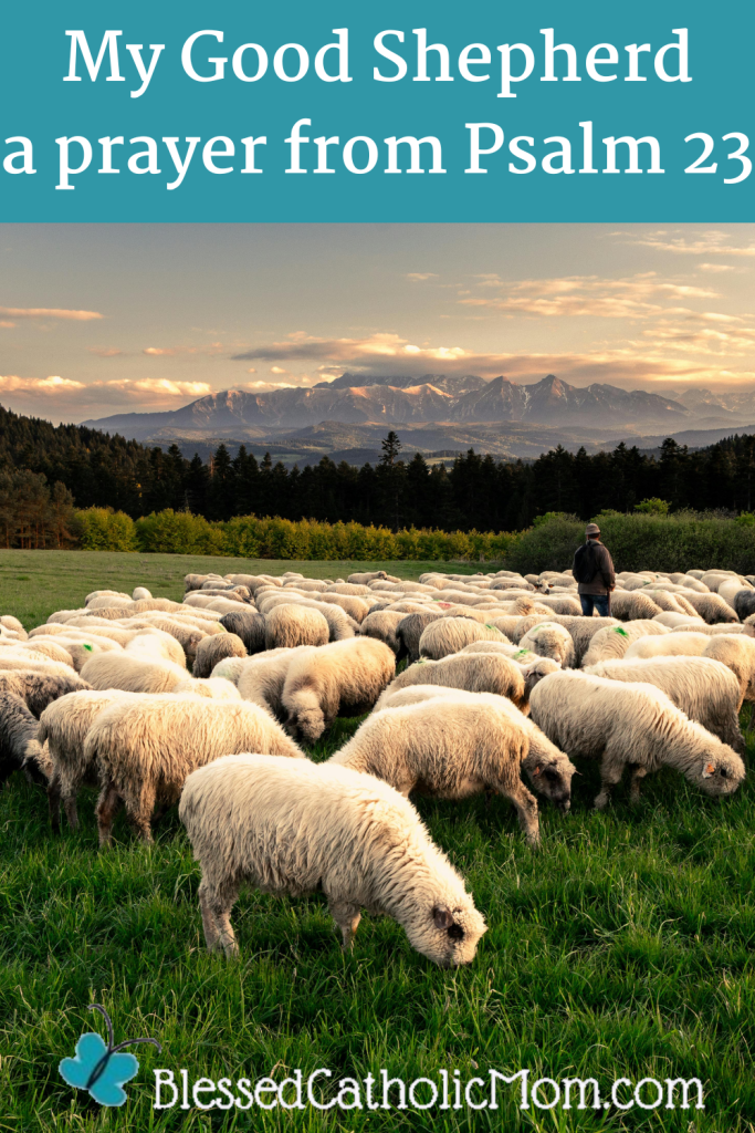 My Good Shepherd a prayer from Psalm 23 is the title on the image in white lettering on a blue background. The image below is of a shepherd and his white sheep in a green field with trees and mountains in the background. The logo for Blessed Catholic Mom is at the bottom.