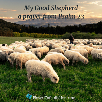 My Good Shepherd a prayer from Psalm 23 is the title on the image of a shepherd and his white sheep in a green field with trees and mountains in the background. The logo for Blessed Catholic Mom is at the bottom.